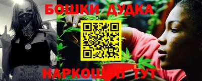 сатива Будённовск