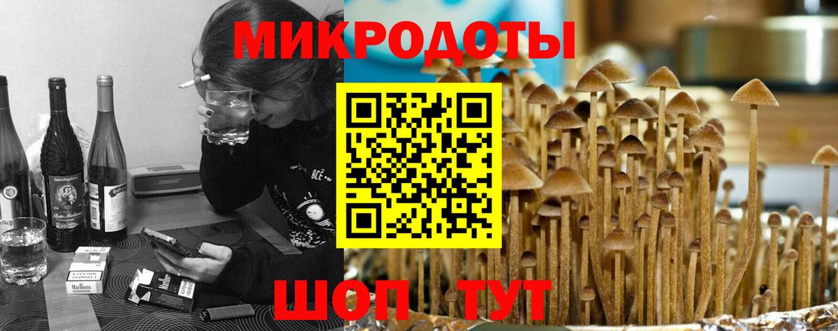Галлюциногенные грибы MAGIC MUSHROOMS Курган