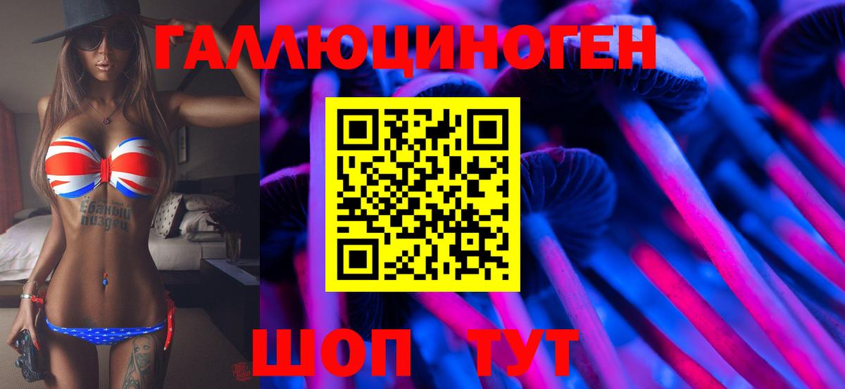 Псилоцибиновые грибы Cubensis  Вход с VPN  Курган  Псилоцибиновые грибы мицелий 
